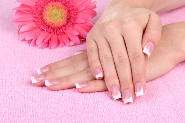 Woman hands with french manicure and flower on pink towel - Foto, Imagem