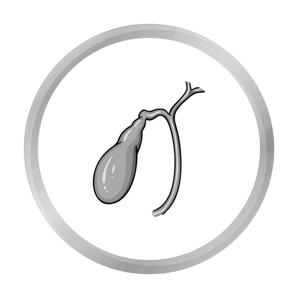 Human gallbladder icon in monochrome style isolated on white background. Human organs symbol stock vector illustration. - Vektör, Görsel