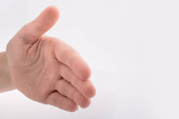Hand schudden gebaar op een witte achtergrond - Foto, afbeelding