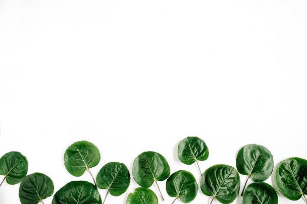 緑の葉のパターン - 写真・画像