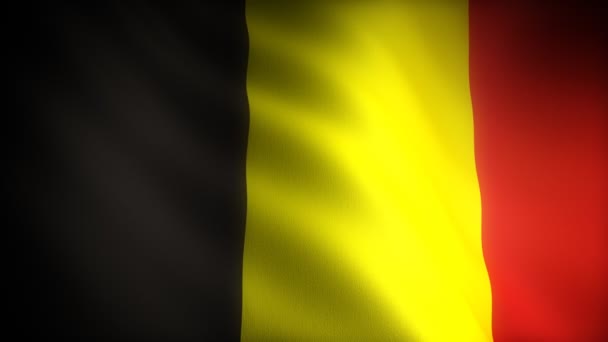 Belçika bayrağı - Video, Çekim