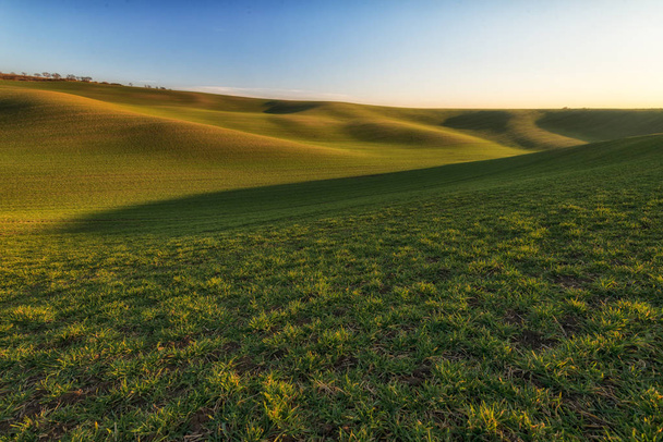 Schilderachtig uitzicht op agrarische cultuurlandschappen op voorjaar. Landelijke rolling hills landschap van Zuid-Moravië, Tsjechië. Mooie warm avondlicht. - Foto, afbeelding