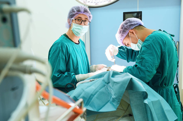 два ветеринарних хірурги в операційній
  - Фото, зображення