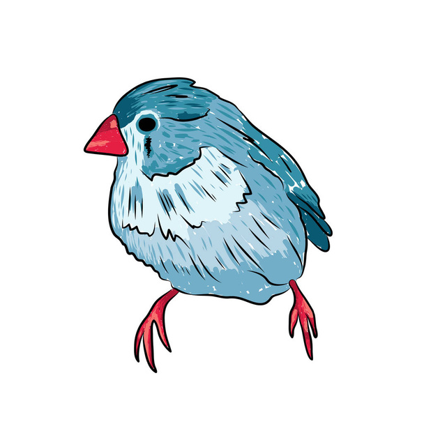 cute sparrow in blue and red colors - Vector, Imagen