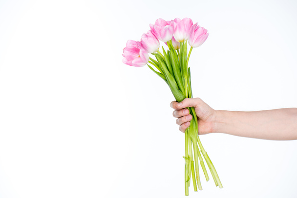 ramo de tulipanes en mano femenina
 - Foto, Imagen