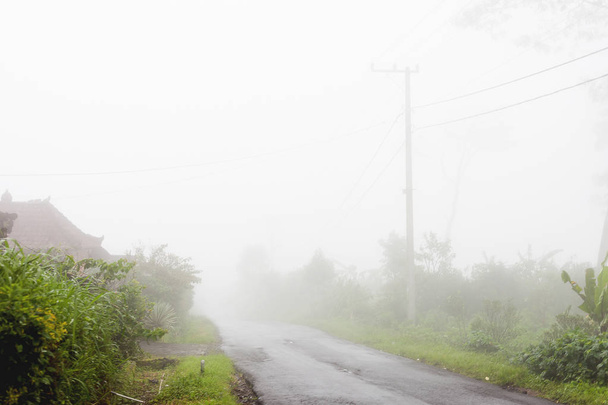 Heavy fog on the road, bad weather for driving motorbike. Road through misty evergreen jungle forest. Winter rainy season. Indonesia. - Фото, зображення