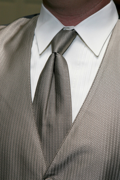 silberne Krawatte - Foto, Bild