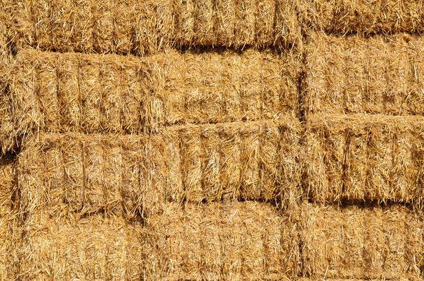 Bales of straw in a field in Jumeauville - Photo, Image