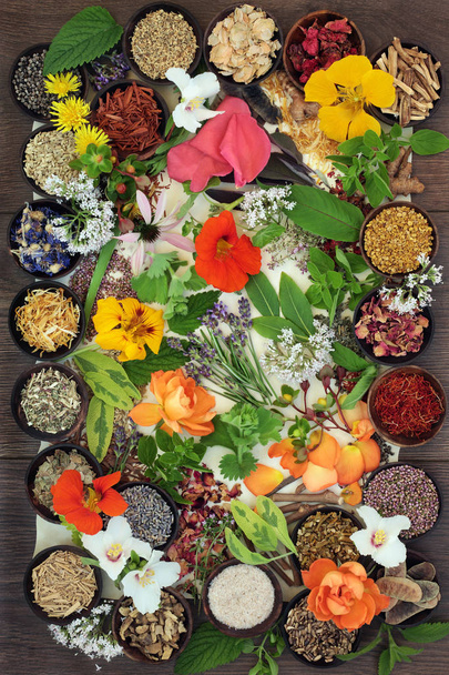 Bloemen en kruiden voor de natuurlijke genezing - Foto, afbeelding