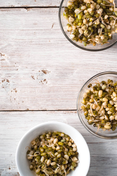 Germinated beans in glass and ceramic bowls on the right - 写真・画像