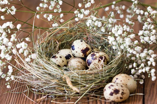 Spotted quail eggs in a nest on a wooden background - Фото, зображення