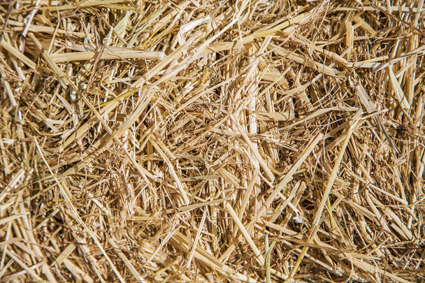 Hay безшовного фону
 - Фото, зображення