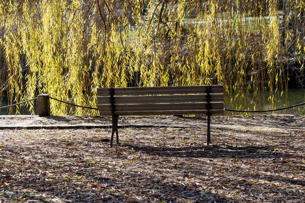 Wooden park bench at a park - Photo, Image
