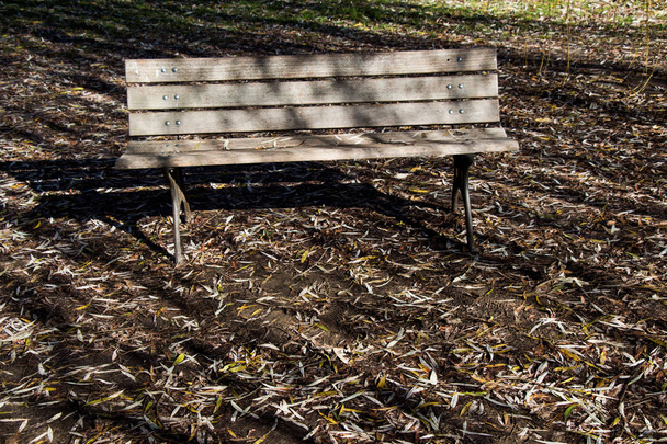 Wooden park bench at a park - Photo, Image