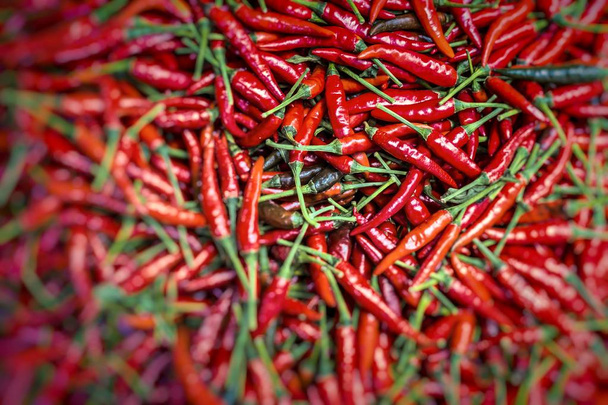 Red chili peppers, closeup view - Photo, Image