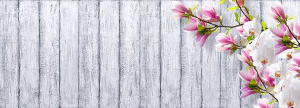 Magnolia with orchid on background of shabby wooden planks  - Photo, Image