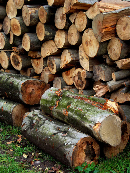 Une pile de bois de chauffage. Préparation du bois de chauffage - Photo, image