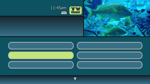 Simulación de un menú de guía de televisión interactiva a la carta en pantalla de una empresa de cable o satélite
. - Imágenes, Vídeo