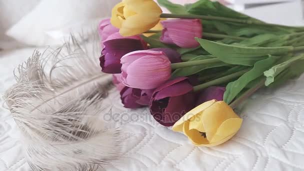 Φωτεινά λουλούδια πολύχρωμες τουλίπες - Πλάνα, βίντεο
