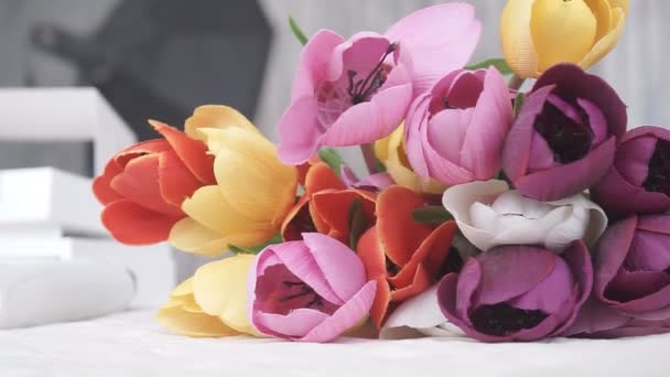 Φωτεινά λουλούδια πολύχρωμες τουλίπες - Πλάνα, βίντεο
