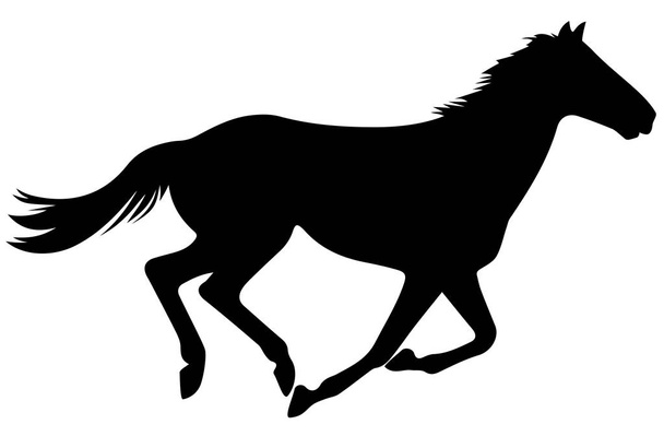 Тонкий векторный силуэт лошади - черный над белым. Векторная иллюстрация Eps 10
 - Вектор,изображение