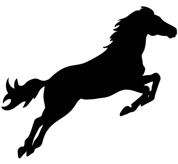 Steigerend paard fijn vector silhouette - zwart op wit. EPS-10 vectorillustratie - Vector, afbeelding