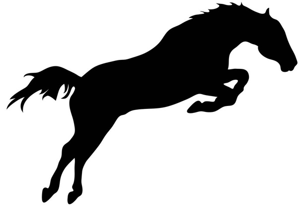 Rearing horse fine vector silhouette - black over white. Eps 10 vector illustration - Vector, Image