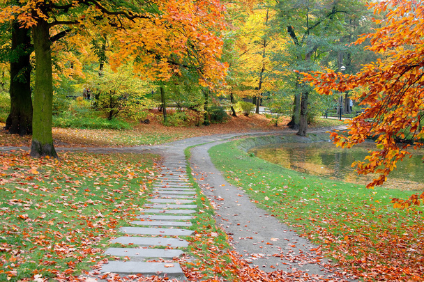 Park in fall time - Foto, imagen