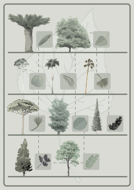 το alberi di σιλουέτα - Διάνυσμα, εικόνα