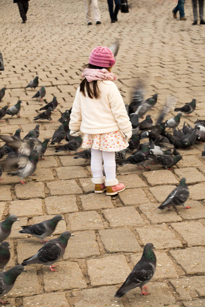 Little girl amid grey pigeons live in large groups in urban  - Фото, изображение