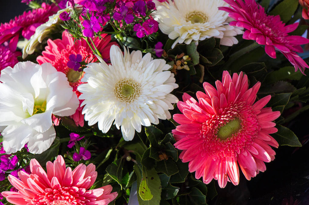 schöne Blumen als Hintergrund - Foto, Bild
