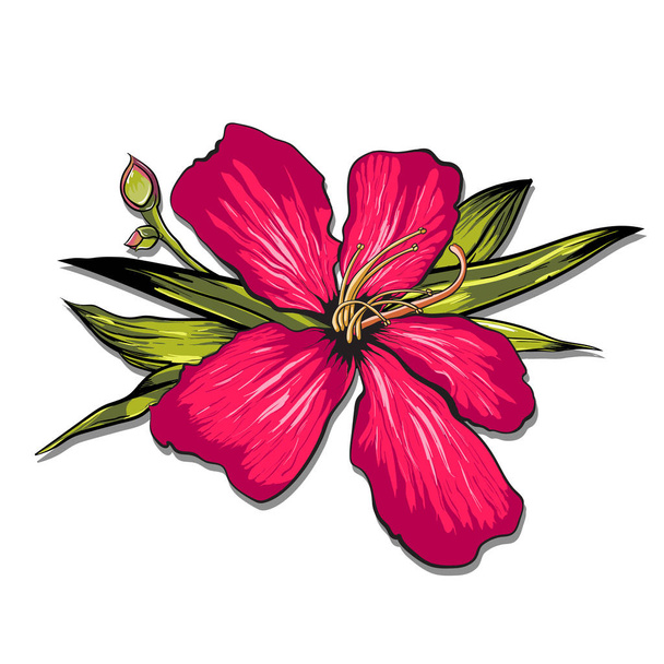 Ананаси і тропічні квіти Геометрія фон Урожай безшовний візерунок вектор
 - Вектор, зображення