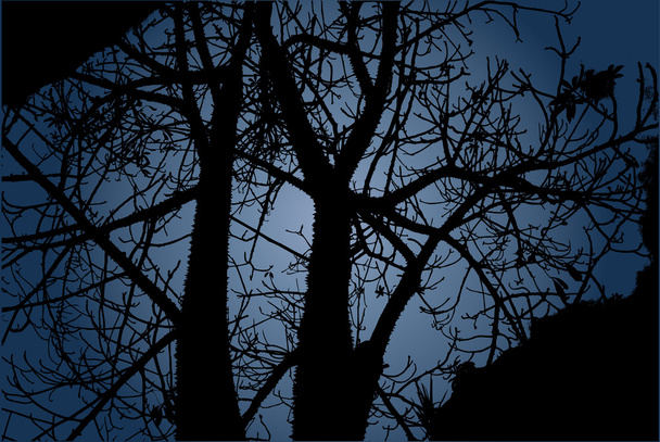 ハロウィーン恐ろしい黒い森 - ベクター画像