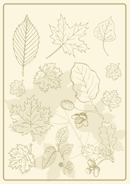 silueta di foglie - Vector, Imagen