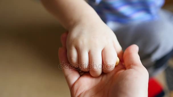 child hand takes cookies from mothers hands. maternal care - Footage, Video