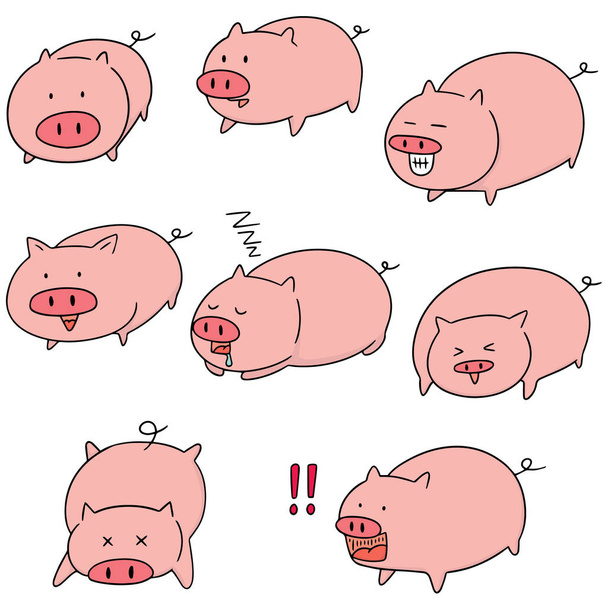 векторный набор свиней - Вектор,изображение