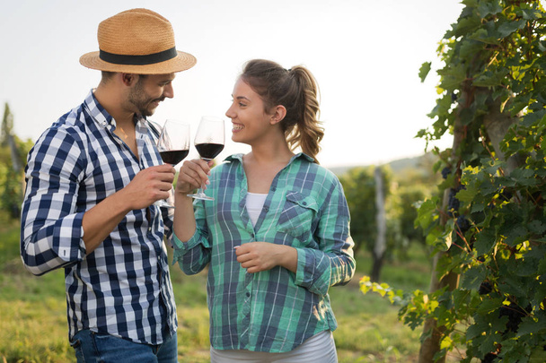 Romantic couple in vineyard - Foto, Imagen