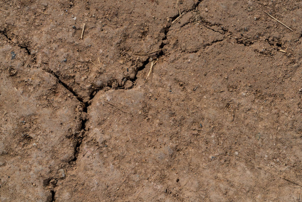 Послідовний сухий грунту
 - Фото, зображення