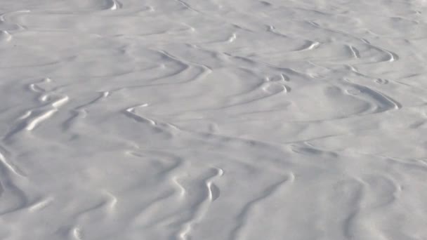 Sastrugi & golvende vormen die optreedt na een sneeuwstorm - Video