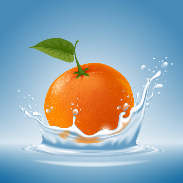 Mandarina en salpicaduras de agua
 - Vector, imagen