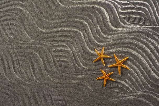 estrellas de mar en la arena - Foto, imagen