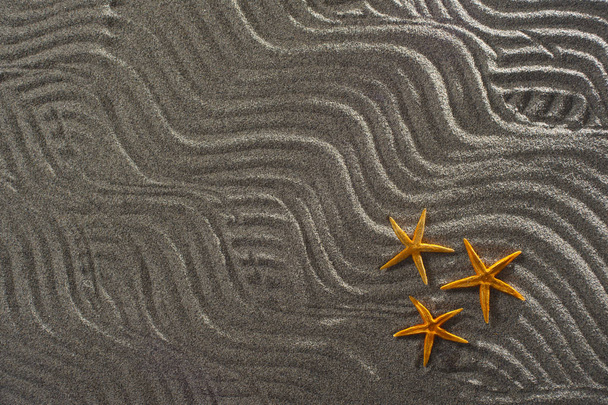 hvězdice na písku - Fotografie, Obrázek