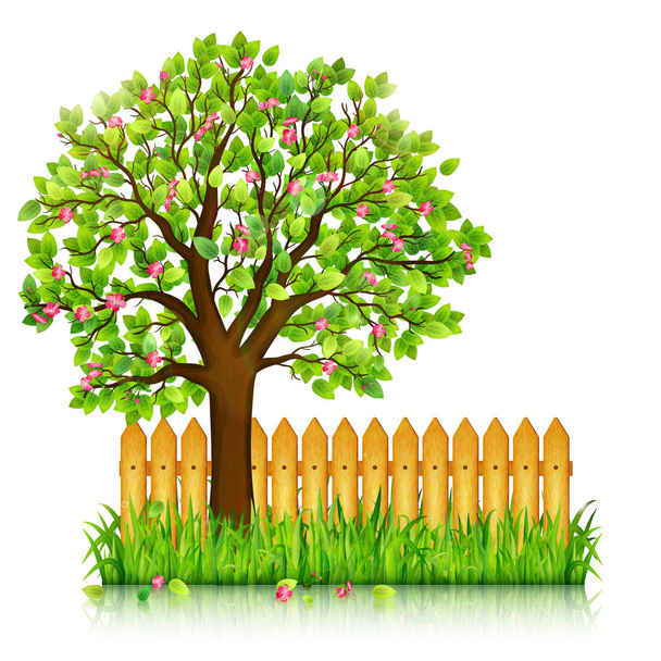 Fond printanier avec herbe verte, arbre en fleurs et jardin f
 - Vecteur, image