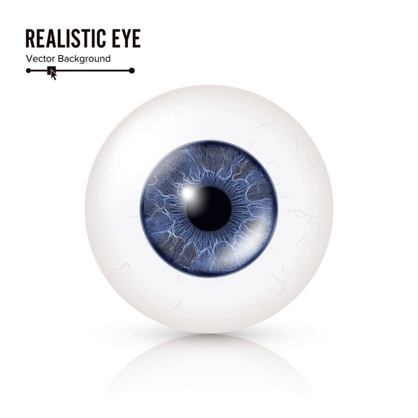 Realistic Human Eyeball. 3d Glossy Photorealistic Eye Detail With Shadow And Reflection. Isolated On White Background. Vector Illustration - Vector, Image