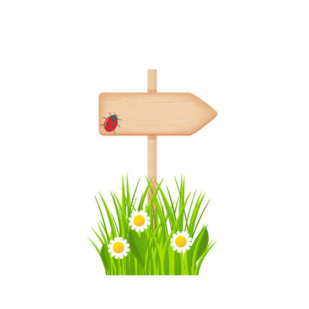 Wooden arrow signboard on a pole at the summer lawn  - Vector, Image