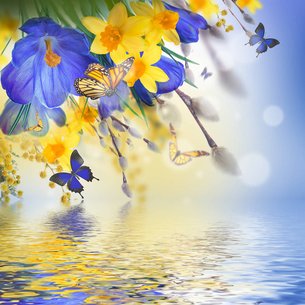 fleurs et papillons de crocus
  - Photo, image