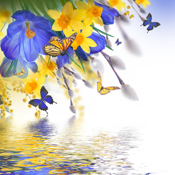 flores de croco e borboletas
  - Foto, Imagem