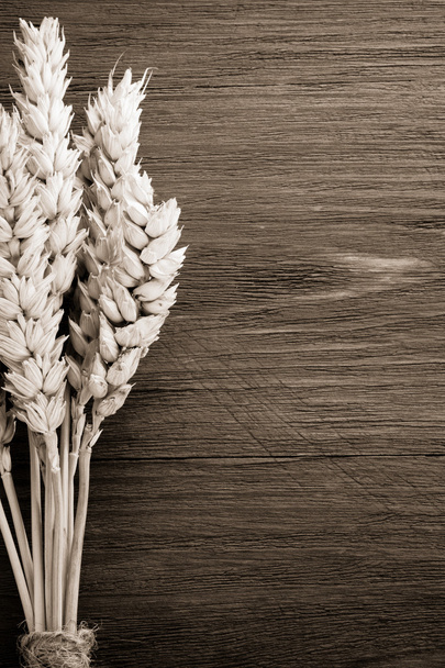 ears of wheat on wood - Фото, зображення
