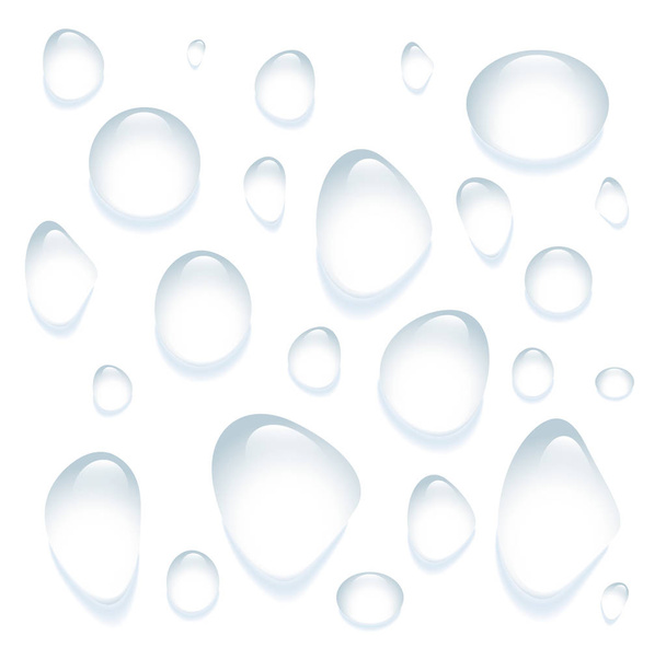 Clear transparent water drops isolated on the white background. - Vettoriali, immagini