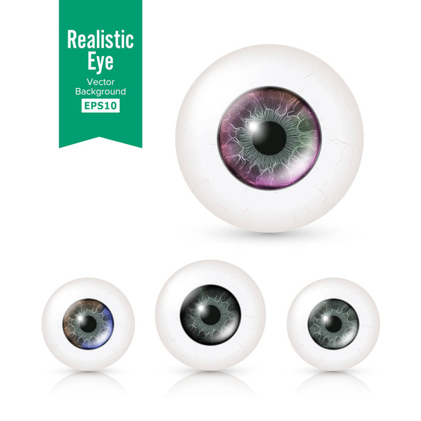 Set de globos oculares humanos con grandes iris en color. Ilustración vectorial del ojo detallado brillante 3d con la sombra y la reflexión. Córnea. Vista frontal. Aislado sobre fondo blanco
 - Vector, Imagen
